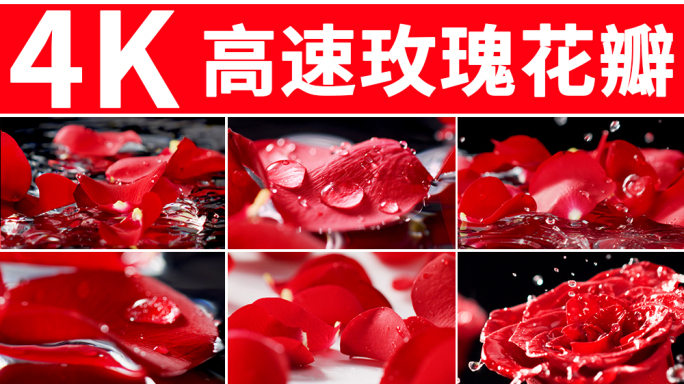 玫瑰花瓣