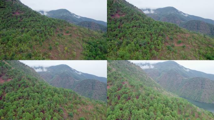 雨中云南大山松树森林航拍