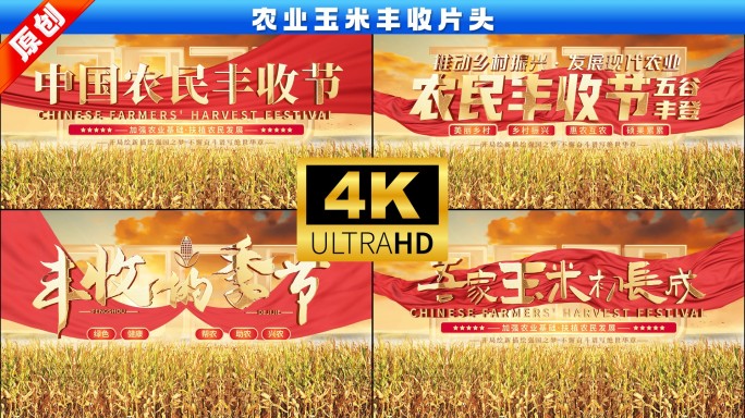 农业玉米丰收片头