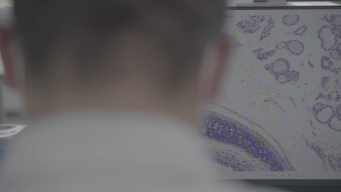 高端实验室 生物制药   高分子材料研究