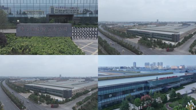 云南李子园 曲靖李子园 李子园视频