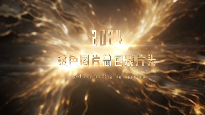 金色片头包装