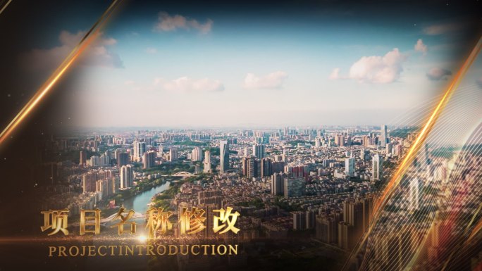 金色大气图文包装