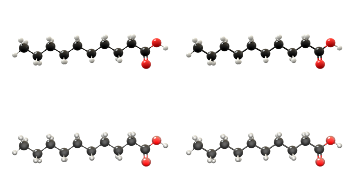 癸酸分子模型