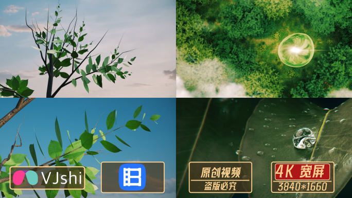 自然科技环保创意视频