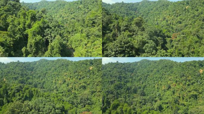 航拍西双版纳原始森林
