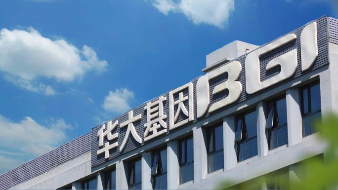 华大基因