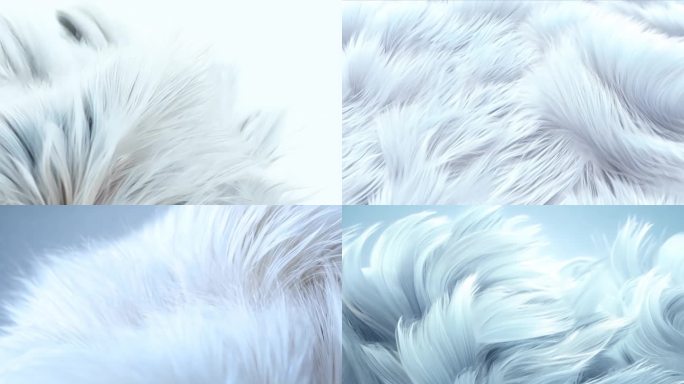 白色的动物毛发特写 3D渲染 飘逸清爽