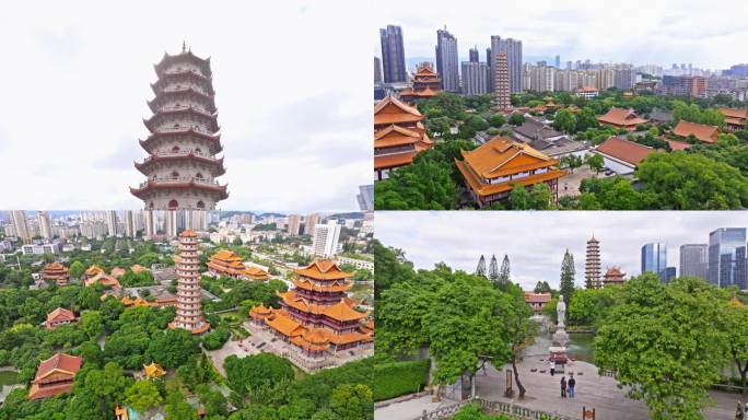 福州地标  西禅古寺 鸽子