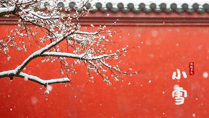 二十四节气小雪 小雪 下雪 雪景