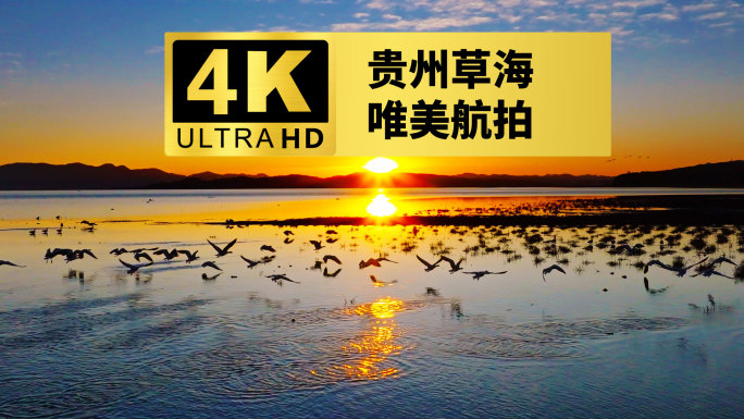 4k贵州威宁草海航拍
