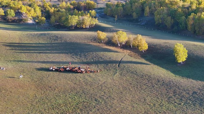 内蒙古赤峰乌兰布统北沟赛马航拍视频4K