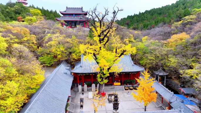 航拍枣庄峄城冠世榴园青檀寺秋景