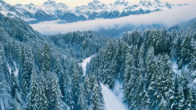 航拍秦岭森林雪景