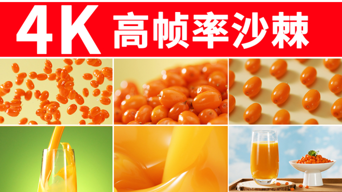 沙棘