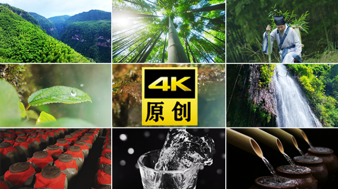 水竹古人竹竹子竹海水生态竹山竹林竹子水源