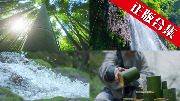 水竹古人竹竹子竹海水生态竹山竹林竹子水源