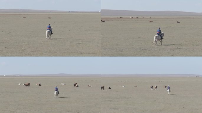 内蒙古-乌拉盖草原-牧民骑马-套马杆
