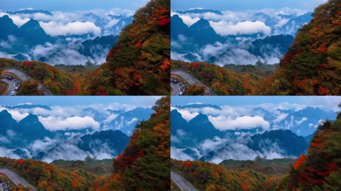 红叶光雾山