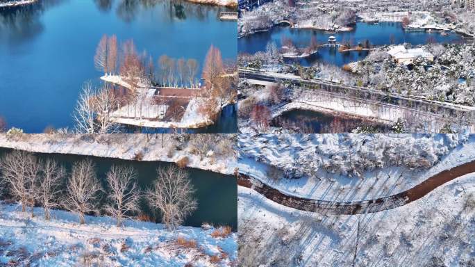 4k长沙洋湖湿地公园雪景