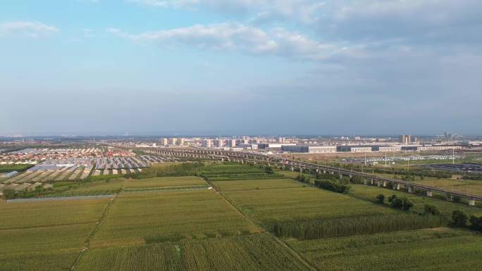 农业农村玉米田乡村振兴美丽乡村粮食铁路