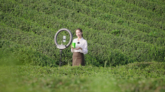 4K 女主播茶园直播 介绍茶叶