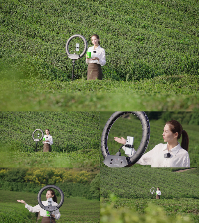 4K 女主播茶园直播 介绍茶叶