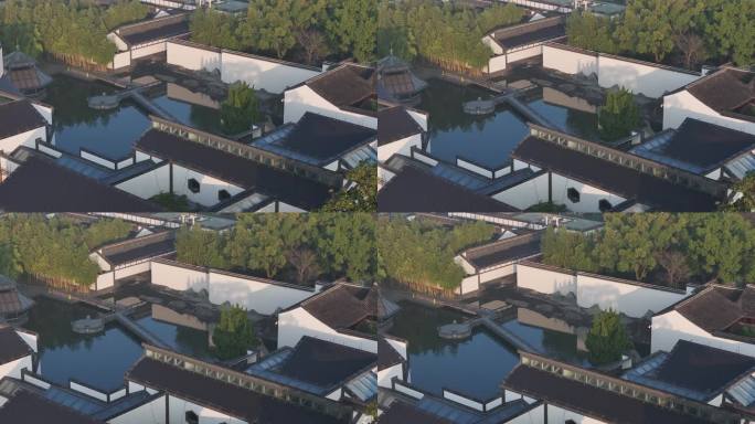 拙政园苏州园林博物馆古建筑深秋红叶晨光