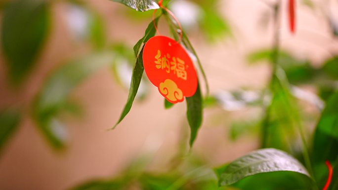 婚礼 庆典 结婚 空境 幸福