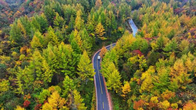 4K航拍重庆大巴山公路