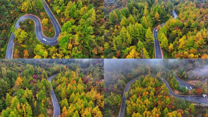 4K航拍重庆大巴山公路