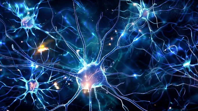 人体神经组织网络4k画质-合集