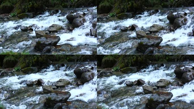 溪流 溪水