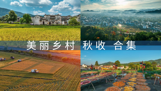 美丽乡村 乡村振兴 秋收 晒秋 务农
