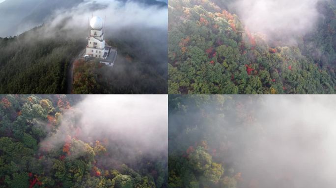 丽水白云山国家森林公园云雾秋色