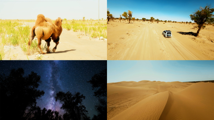 新疆塔克拉玛干沙漠风旅游光合集