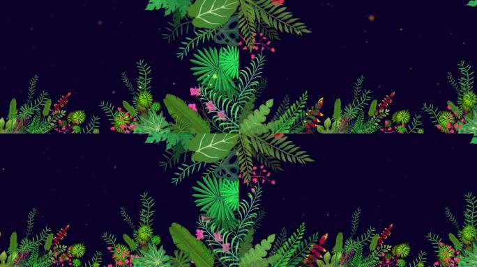 植物生长