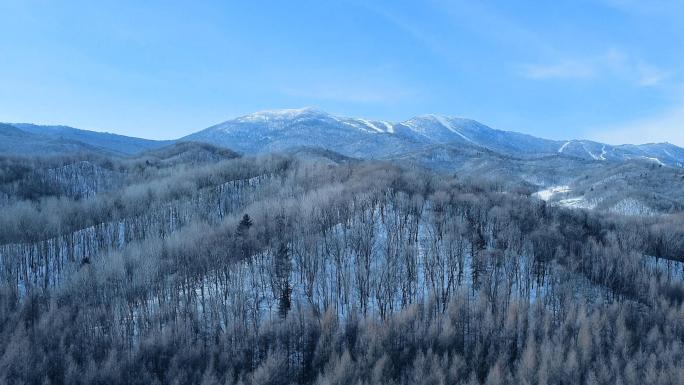 亚布力青云小镇亚雪公路雪景哈尔滨滑雪