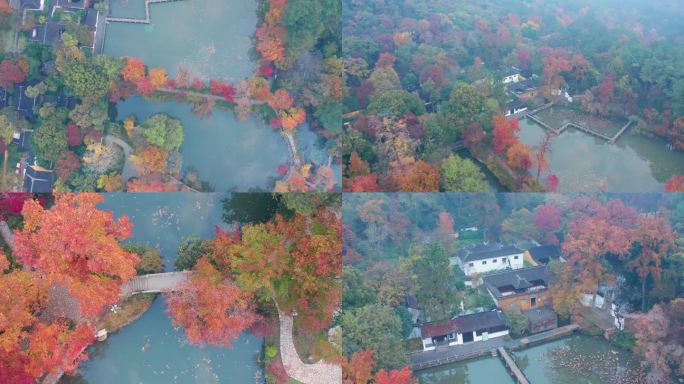 秋天苏州天平山红枫正当时风景航拍