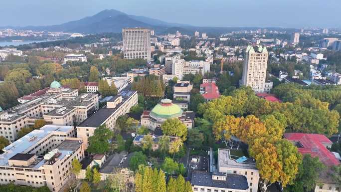 东南大学