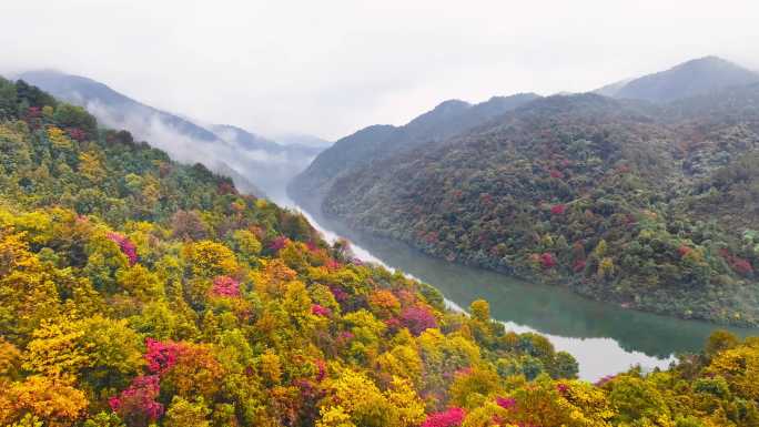 仙女湖红叶