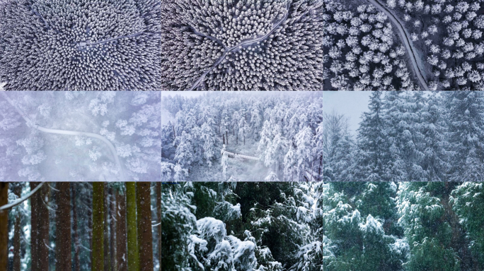 森林雪景下雪大雪纷飞冬天下雪航拍