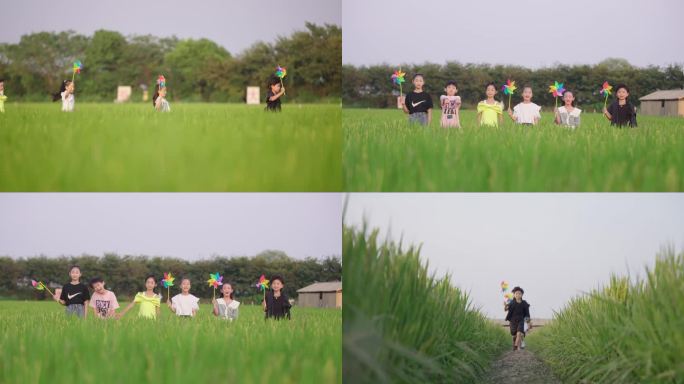 小朋友奔跑在稻田玩风车 小朋友稻田玩耍