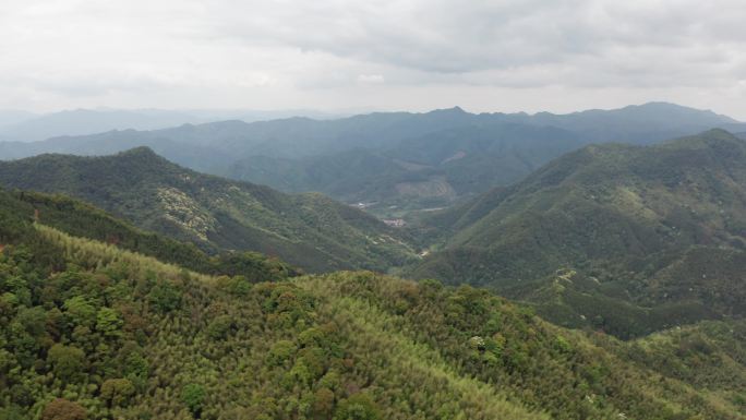 山脉森林植被航拍