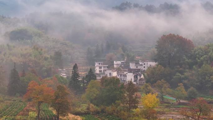 黄山塔川秋色晨雾