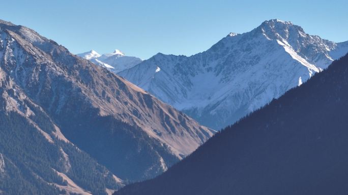 新疆秋季草原 特克斯草原航拍 草原草场