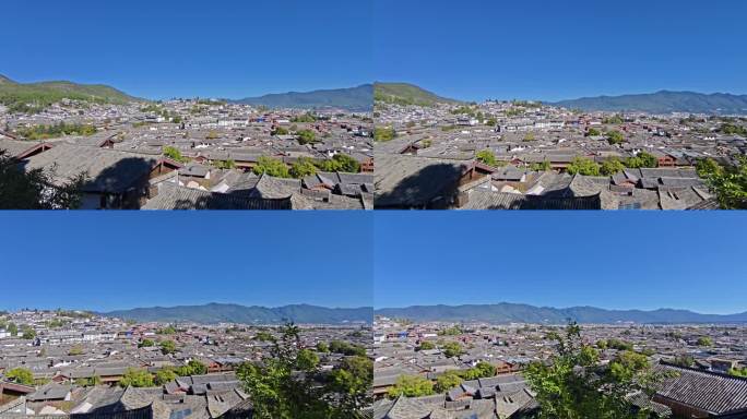 video_20241113_15282