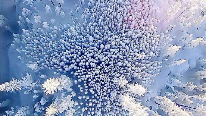冬天雪景树林雾凇下雪大雪冬季小寒大寒唯美