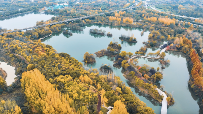 西安浐灞湿地公园航拍