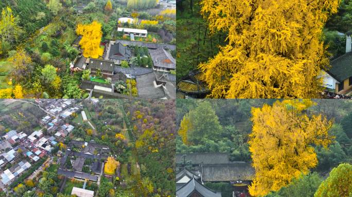 西安古观音禅寺